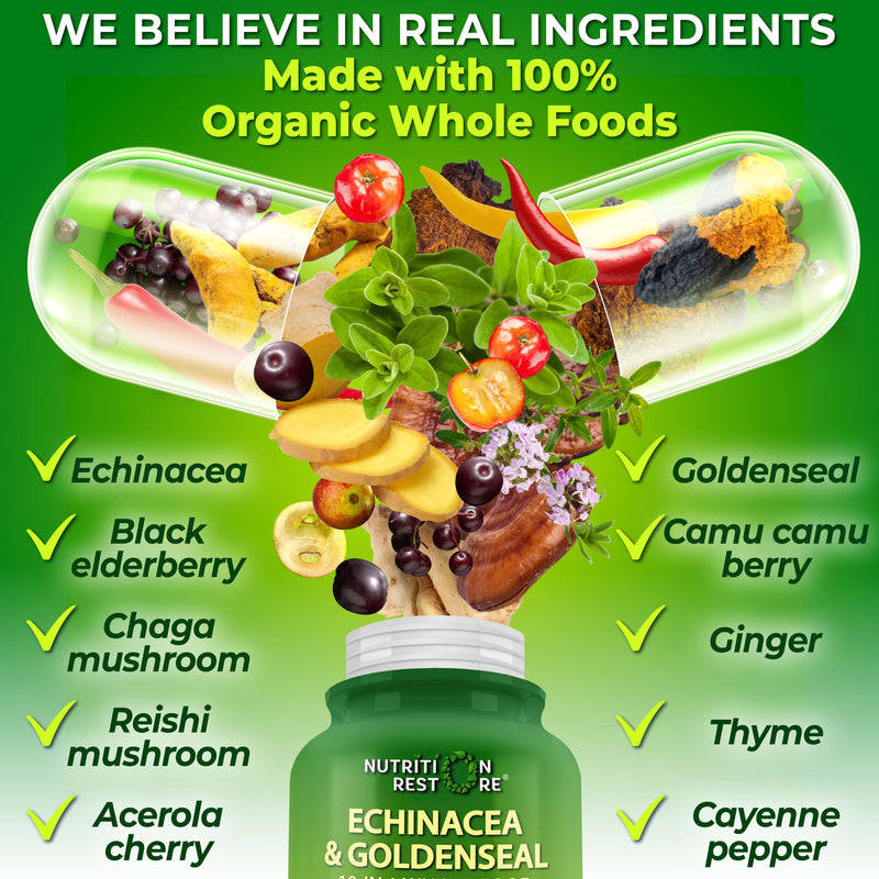photo of echinacea supplement complex bottle and showcasing all the ingredients in this complex