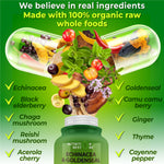 echinacea supplement